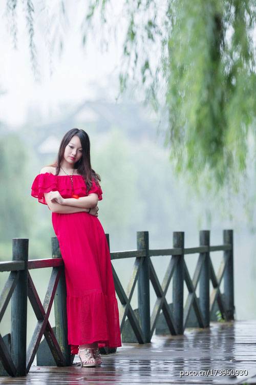 雨后杨柳岸的美丽风景-3