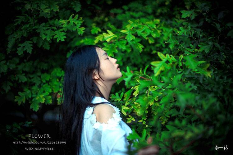 迷失在丛林中的小可爱-5