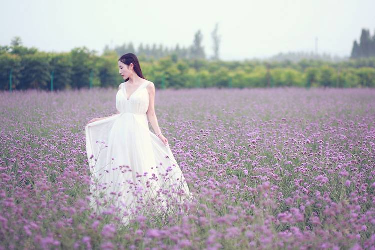 清纯少女普罗旺斯的梦