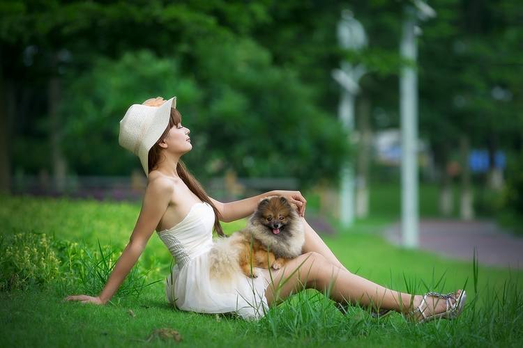 芳草地的长腿清纯美女-5