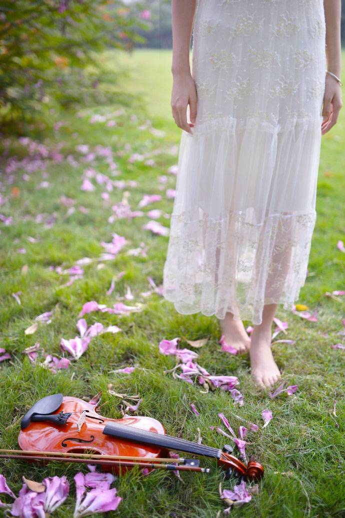 小提琴少女的花开花落