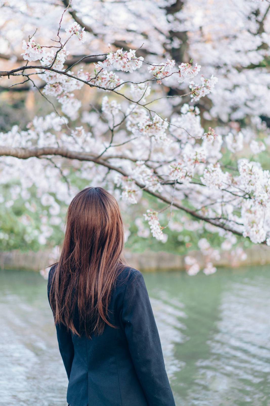 微博妹纸霜月shimo女仆装+清纯学生JK制服迷人性感户外写真-39
